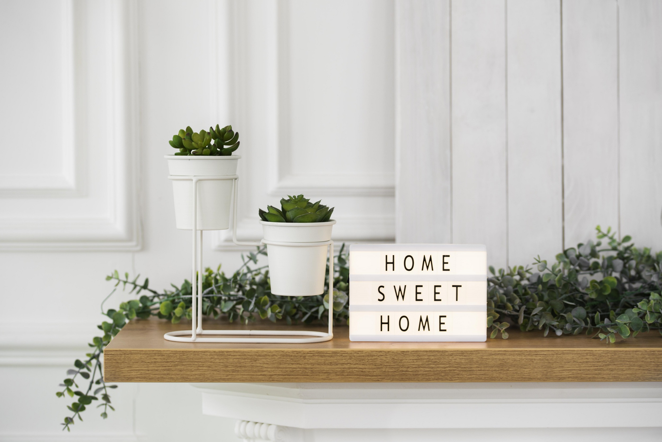 Your Must-Have 8 Indoor Plants for Good Luck